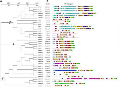 Overexpressing PpBURP2 in Rice Increases Plant Defense to Abiotic Stress and Bacterial <mark class="highlighted">Leaf Blight</mark>